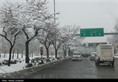 زیر بارش مهر؛ سپیده‌دم شادی در آغوش برف