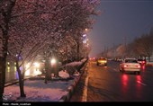 زیر بارش مهر؛ سپیده‌دم شادی در آغوش برف
