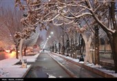 زیر بارش مهر؛ سپیده‌دم شادی در آغوش برف