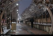 زیر بارش مهر؛ سپیده‌دم شادی در آغوش برف