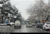 زیر بارش مهر؛ سپیده‌دم شادی در آغوش برف