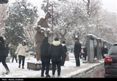 زیر بارش مهر؛ سپیده‌دم شادی در آغوش برف