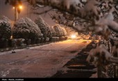 زیر بارش مهر؛ سپیده‌دم شادی در آغوش برف