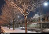 زیر بارش مهر؛ سپیده‌دم شادی در آغوش برف