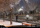 زیر بارش مهر؛ سپیده‌دم شادی در آغوش برف