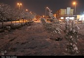 زیر بارش مهر؛ سپیده‌دم شادی در آغوش برف