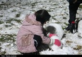 زیر بارش مهر؛ سپیده‌دم شادی در آغوش برف