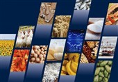 موانع واردات کالاهای اساسی و نهاده‌های رفع می‌شود