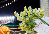 دلتنگی جمعه، زیباترین نماز بی‌زبانی است