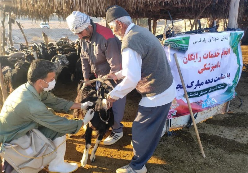 واکسیناسیون ضربتی تب برفکی در دشتستان اجرا شد