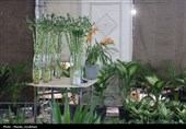 نمایشگاه تخصصی گل و گیاه و صنایع‌دستی قزوین