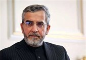 باقری: دیپلماسی همراه با میدان برای تامین منافع ملی تاپای جان حاضر است