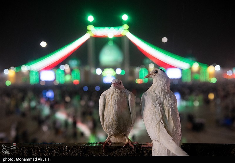 نماهنگ «کلاس انتظار»