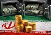 آیا صندوق‌های ارزی می‌توانند ارزهای خانگی را به اقتصاد بازگردانند؟