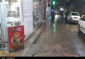 پاکبانان؛ قهرمانان خاموش شهر