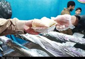 طنین شور