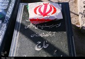 مهمانی  لاله ها - زنجان