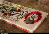 مهمانی  لاله ها - زنجان