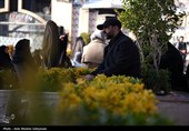 مهمانی لاله‌ها در گلزار شهدای کرمان