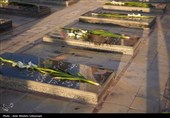 مهمانی لاله‌ها در گلزار شهدای کرمان