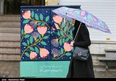 بارش برف در همدان