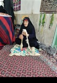 نخستین جشنواره گل نرگس لرستان