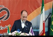 تولید سیب در کشور امسال از 4 میلیون تن فراتر می‌رود