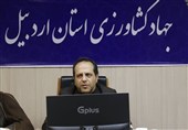 خسارت وارده در اردبیل به کشاورزان 7 همت است