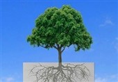 پویش جمع‌آوری کاغذ باطله برای مدرسه‌سازی در قزوین