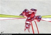 افتتاح و اجرایی شدن 225 همت پروژه استان بوشهر در دهه فجر