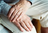 Институт «Ройан» готовится к началу трансплантации стволовых клеток для лечения болезни Паркинсона