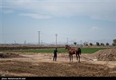 مسابقات منطقه‌ای پرش با اسب در قم