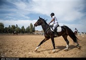 مسابقات منطقه‌ای پرش با اسب در قم