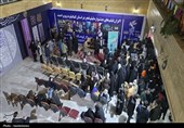 استقبال پرشور از روایت یک نخبه شهید در فجر+فیلم