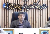 گندم چهارمحال و بختیاری تا پایان سال تأمین شده است
