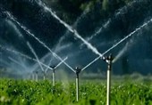 تحقق بیش از 90 درصدی اصلاح الگوی کشت در استان مرکزی