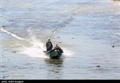 مرغان کاکایی در بندرانزلی