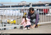 مرغان کاکایی در بندرانزلی