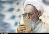 علامه‌ای ذوالفنون با غیرتی انقلابی