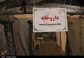 کرمان