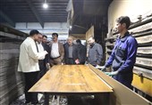 توسعه کشت صنوبر در کشت و صنعت مغان