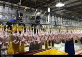 تأکید فرماندارسنندج بر حمایت از تولید و ارتقای استانداردهای زیست‌محیطی