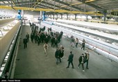 سفر معاون اجرایی رئیس جمهور به کرمانشاه