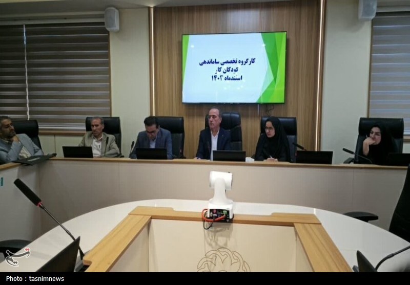 کودکان کار , اخبار استان کهگیلویه و بویراحمد , 