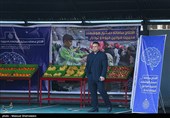 افتتاح پارک علم و فناوری شهری ایران در بوستان ولایت