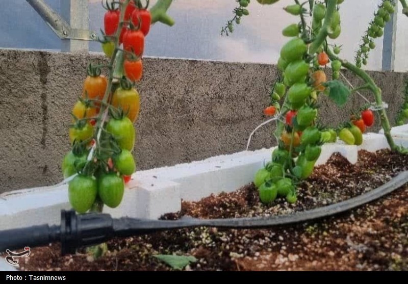اخبار زنجان , اخبار شهرستان ابهر ,