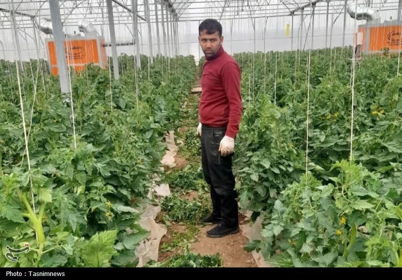 اخبار زنجان , اخبار شهرستان ابهر ,