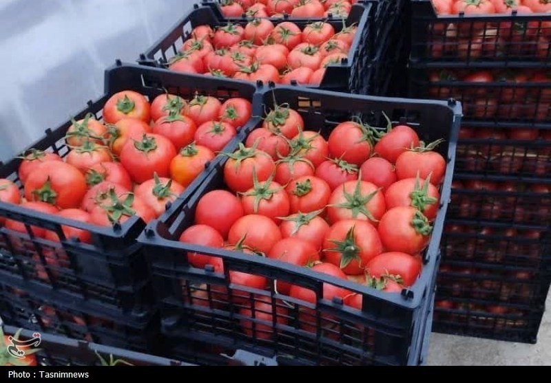اخبار زنجان , اخبار شهرستان ابهر ,