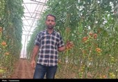 این مرد زنجانی چگونه از شیمی به امپراتوری گلخانه‌ای رسید؟