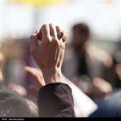 تشییع لاله‌های ارغوانی در دیار آفتاب